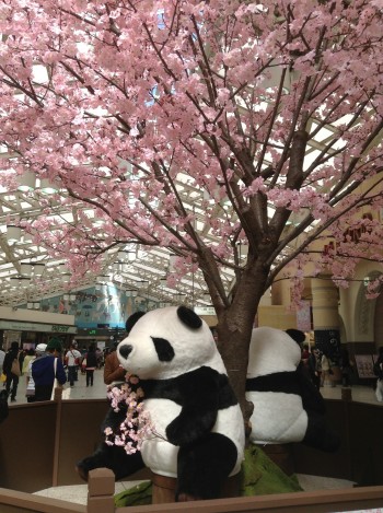 上野駅内　桜とパンダ
