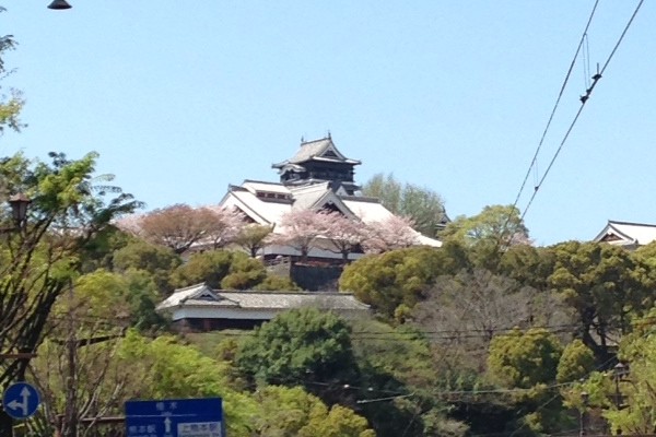 ビューティフルNIPPON！　日本さくら名所100選の熊本城へ。