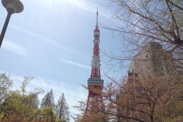 私の大好きなお散歩コース「東京タワーと愛宕神社」　今日も出世の石段を上りました
