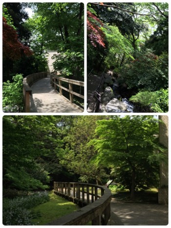 石川県立美術館　散歩風景