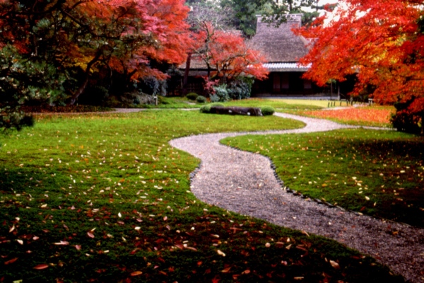 古都奈良の穴場紅葉スポット　後編：奈良公園周辺のとっておき
