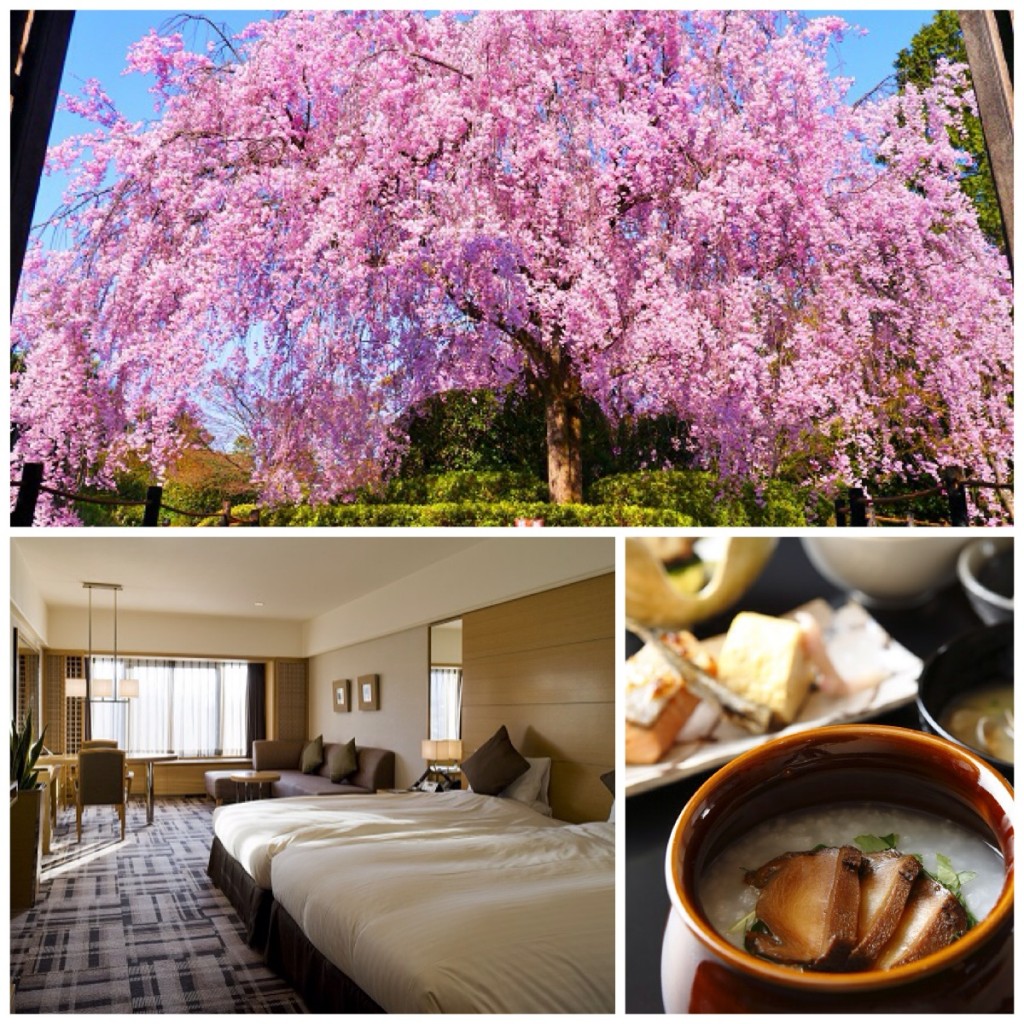 京都ブライトンホテル　「桜を愛でる春の寺院特別早朝拝観プラン」宿泊券
