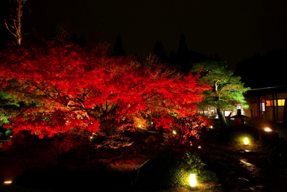 京都の奥座敷のような寺で、 移り行く季節を愛でる／雲龍院後編