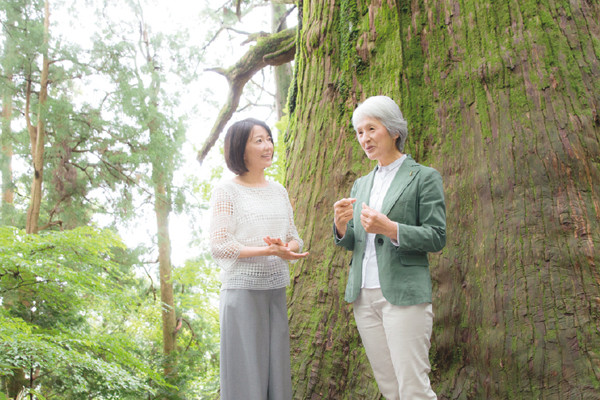 羽田美智子さんが女性樹木医に習う「心と体の整え方」④感謝の気持ちを忘れずに過ごす