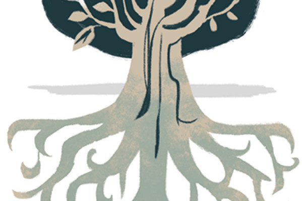 羽田美智子さんが女性樹木医に習う「心と体の整え方」③樹も人も“根っこ”が肝心