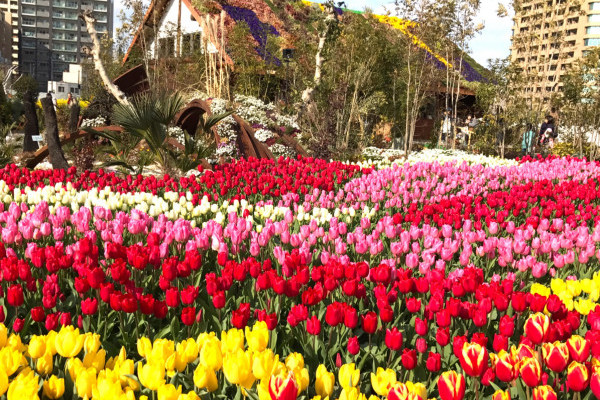 大阪・梅田に春が来た！　都会の花と緑の庭園へ