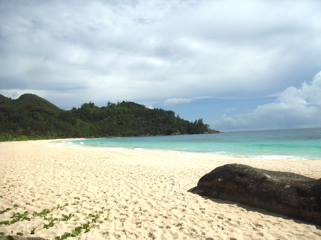 banyan beach