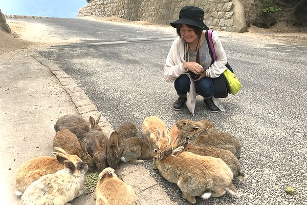 ウサギが氾濫!!?　瀬戸内海のウサギの島、大久野島へ