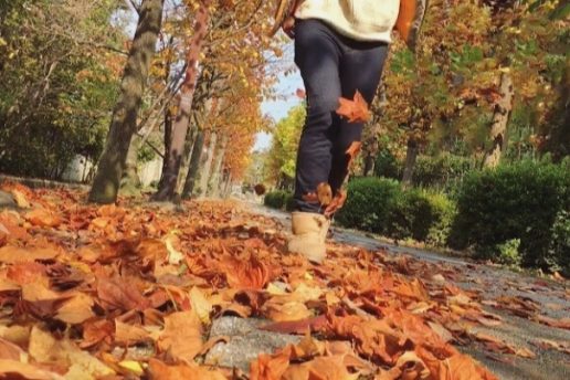 秋のパッセジャータ（お散歩）を楽しみましょう