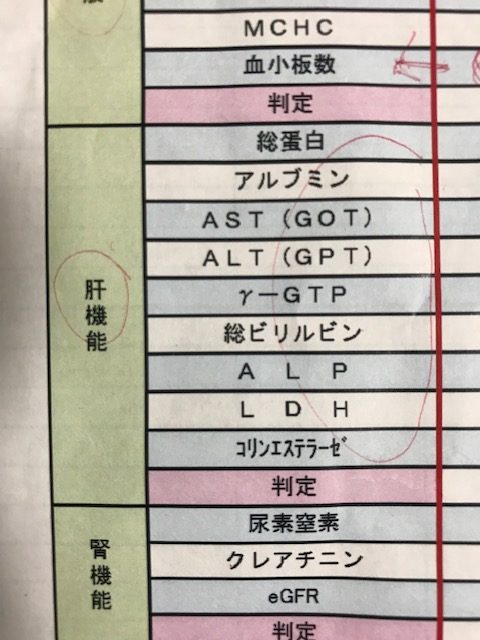 吉川千明さんが受診した人間ドックの検査結果用紙の肝機能項目の写真