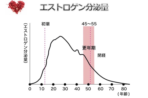 女性の平均寿命は91.3歳に！？となると、エストロゲン低下は問題！