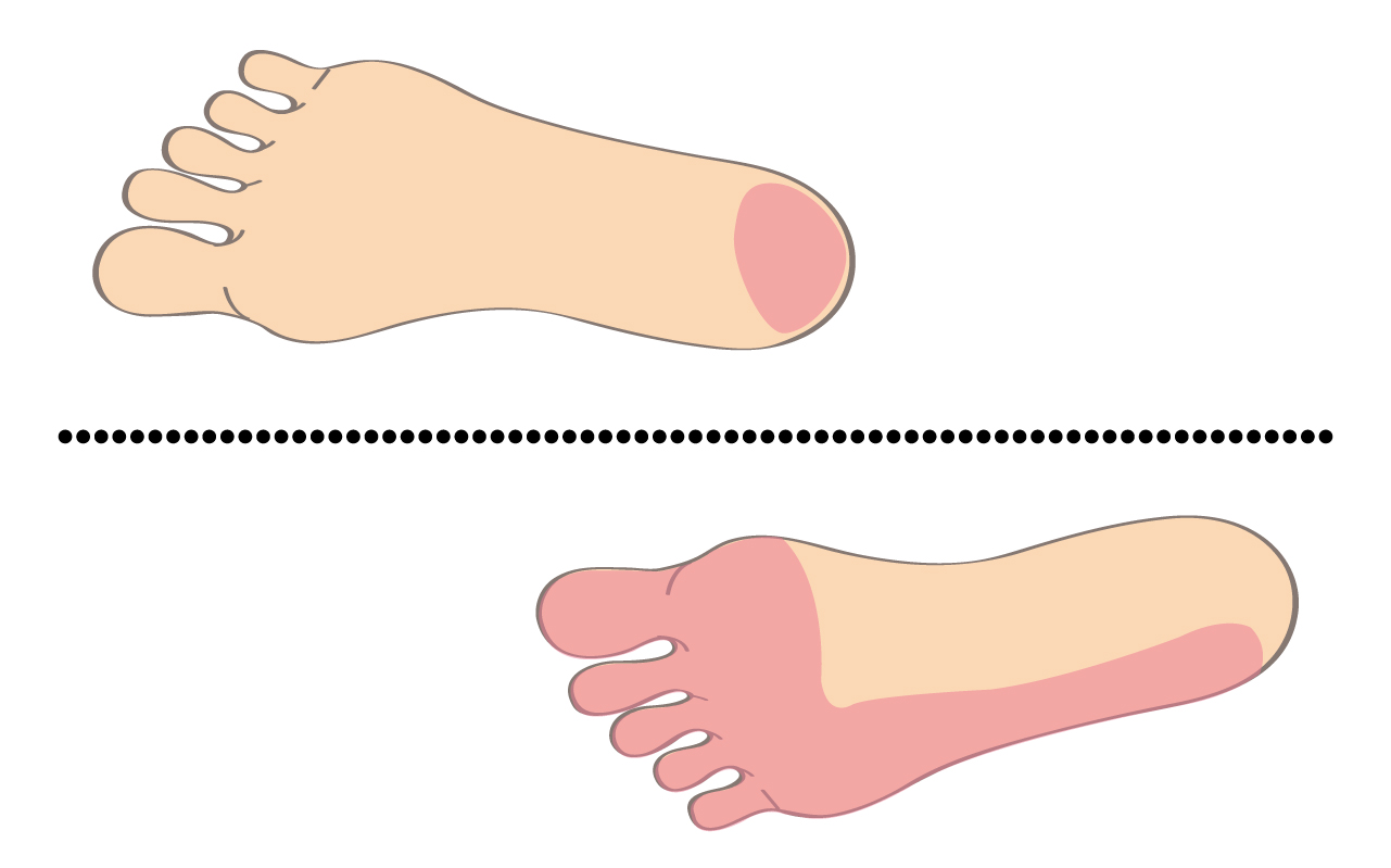 右足はかかとのやや外側、左足は外側アーチから指先に重心を乗せます