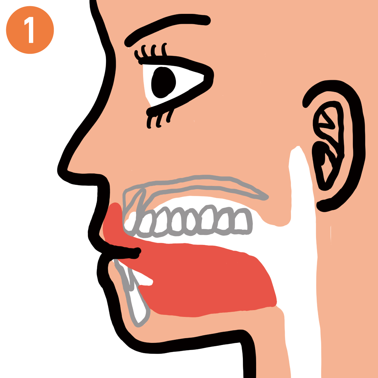 舌で歯の表を１本１本触ります。８周→休憩８秒を４セット