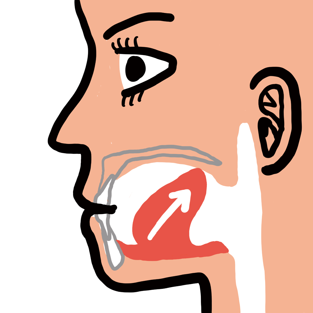 舌先を上前歯の歯茎の突起に添え、全力で舌先から舌全体を奥に引っ込めて