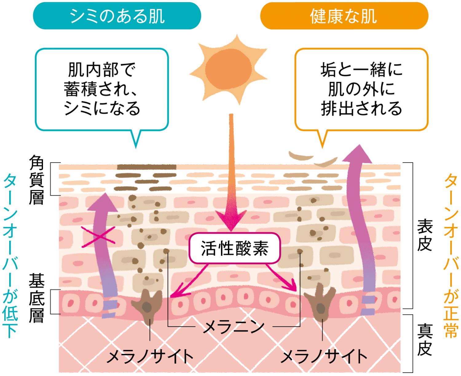 医師の診察を受ける時期