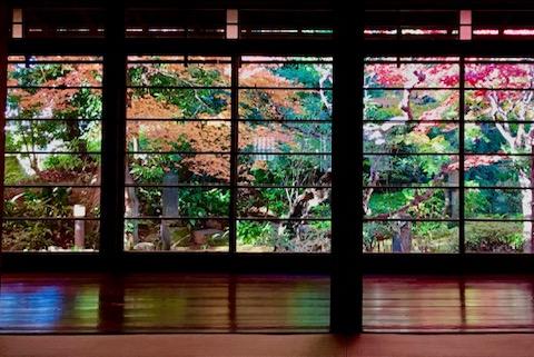 広尾の祥雲寺で奥庭の見事な紅葉を眺めながら、今までにない〝終活〟の役立つお話、聞きませんか？