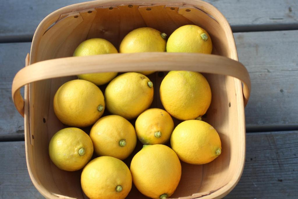 最多の年でレモン12個収穫