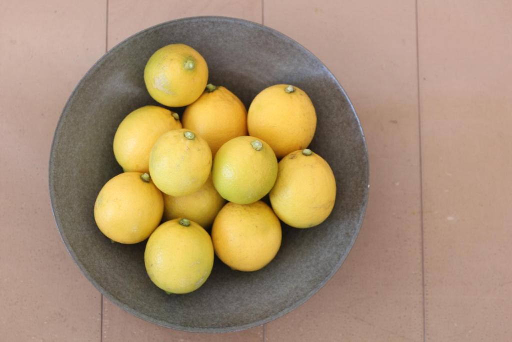 この年のレモンの収穫は11個
