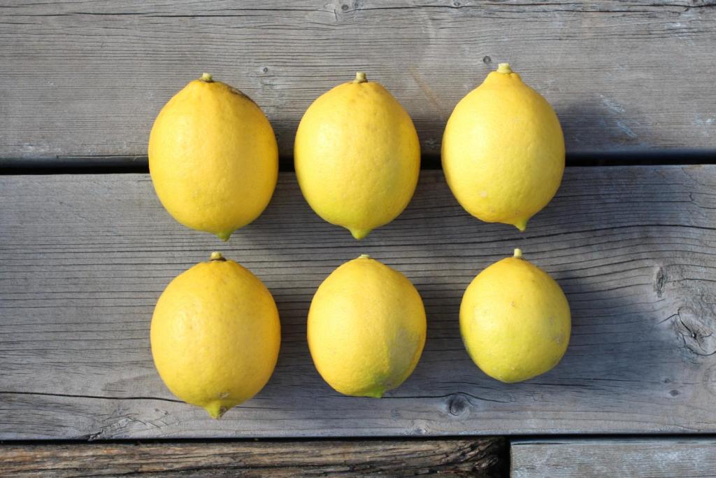 レモンの収穫は6個