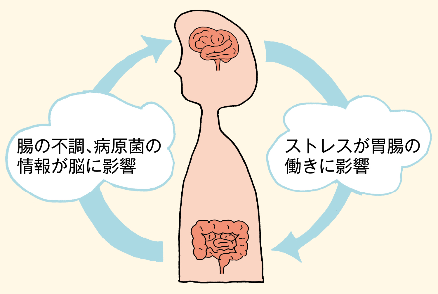 脳腸相関