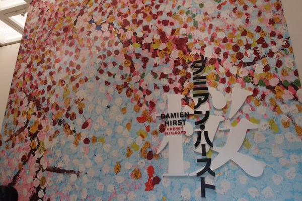 美術館でもお花見できる「ダミアン・ハースト　桜」