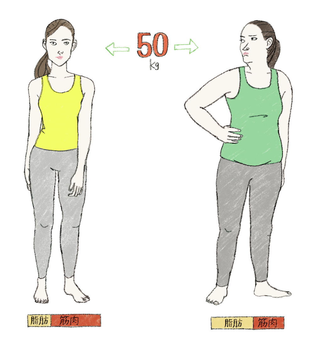体重と脂肪　比較イラスト