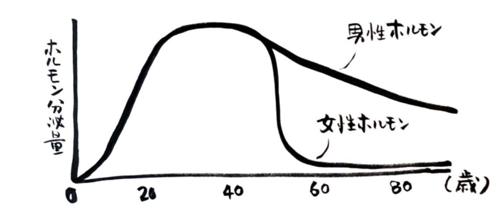 樫出さん　グラフ