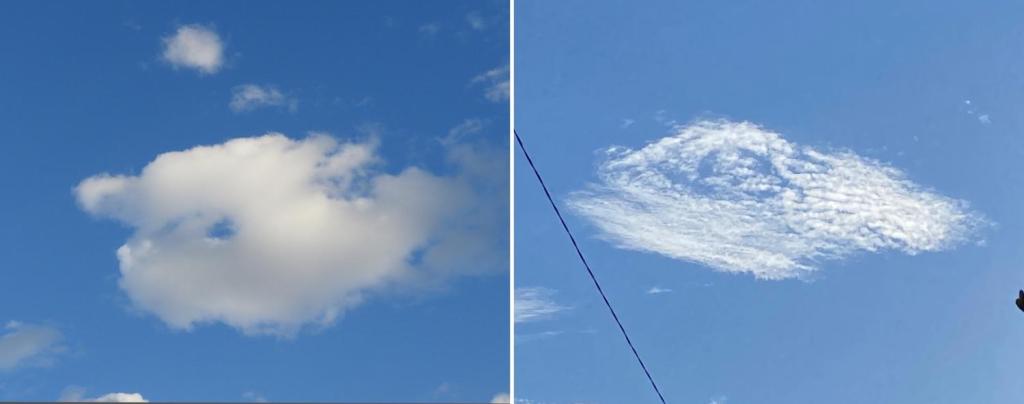 目のある雲（左）イルカ（右）麒麟ビール