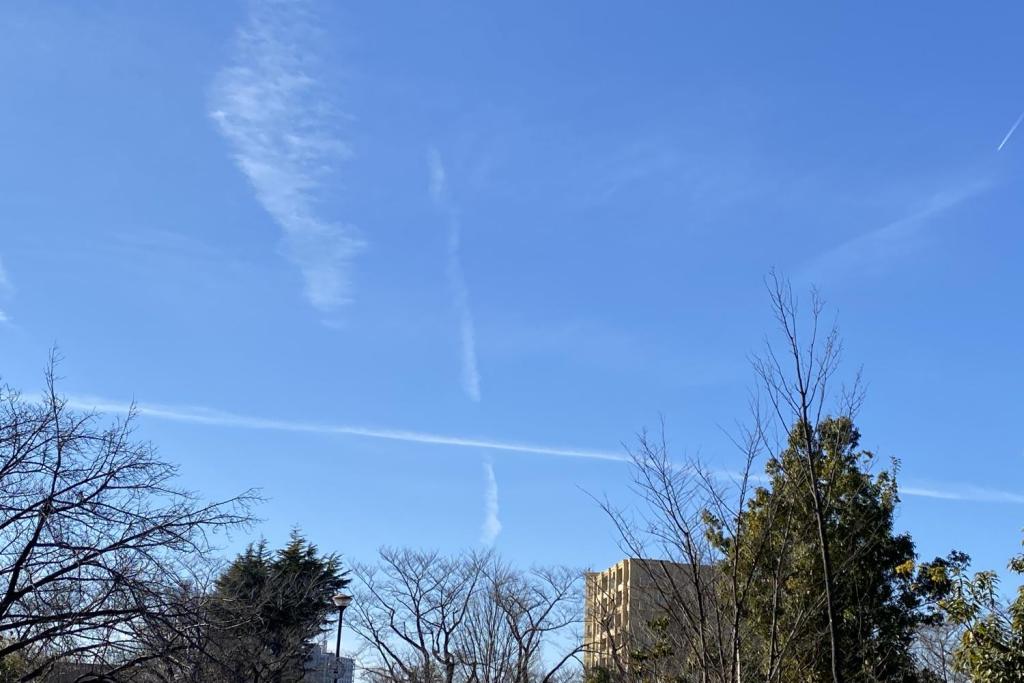 垂直に上る飛行機雲・座標軸のような2本の飛行機雲