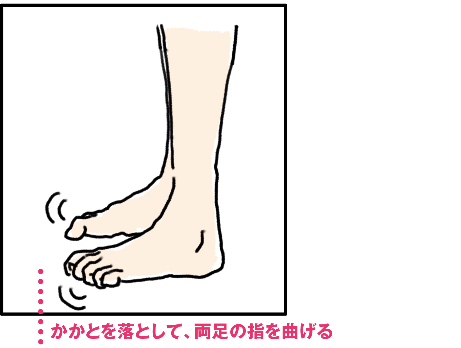 イラスト／たつみ式・正しい立ち方　かかとを落として、両足の指を曲げる