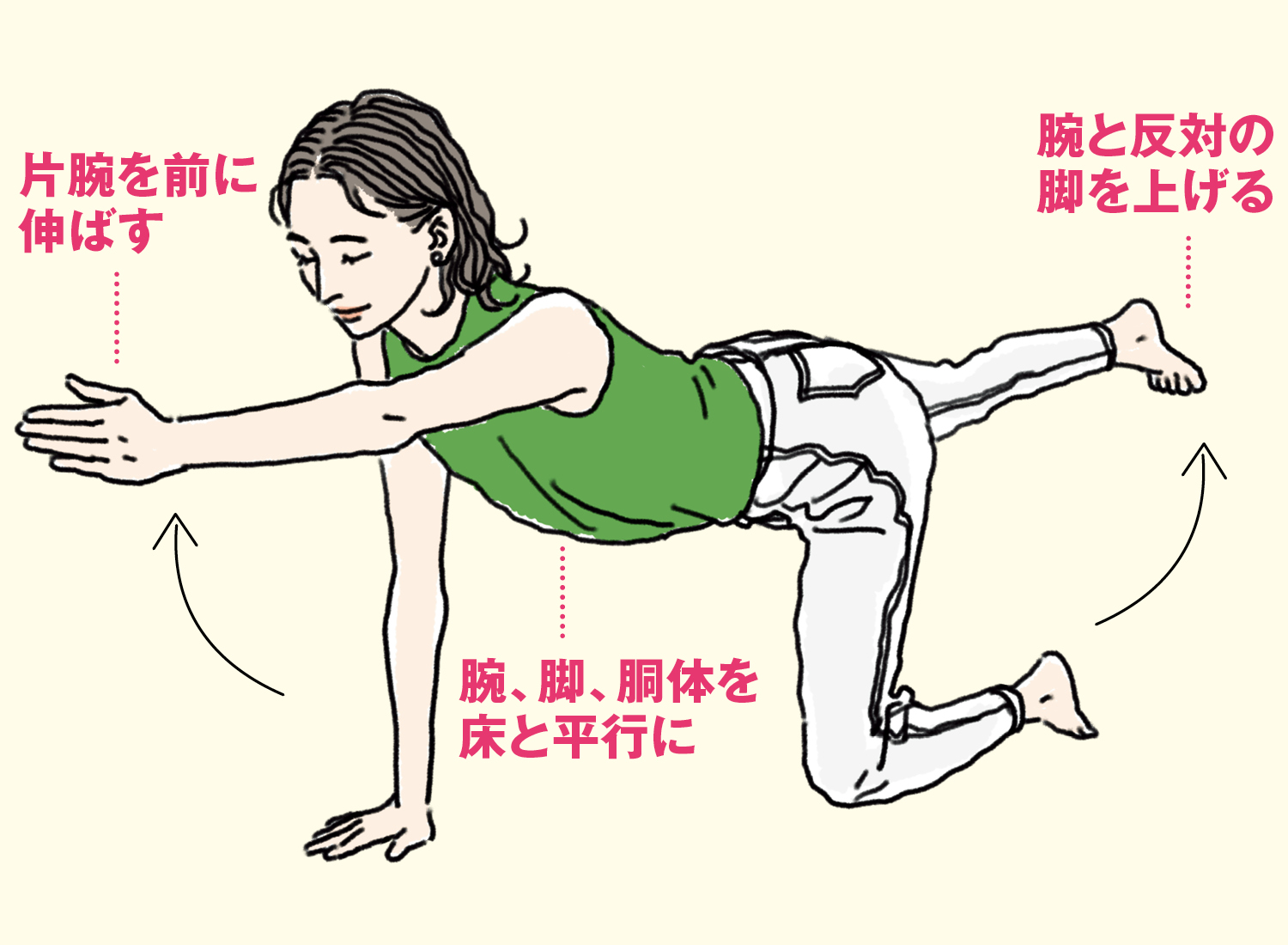 イラスト／体幹体操　腕と反対の脚を上げる