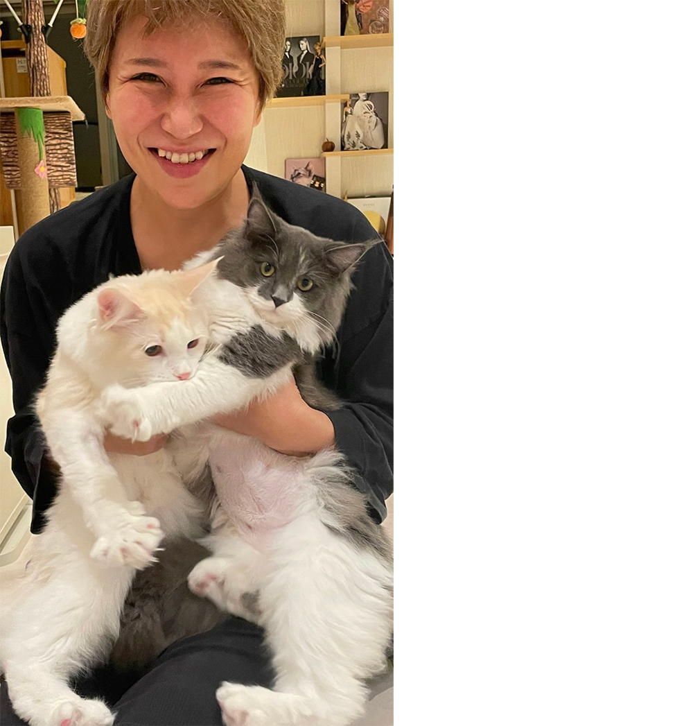 5匹の猫と暮らしています。この2匹は8ヶ月の双子ちゃんでラグドールとメインクーンのミックス「テオとノア」です。／小村十樹子医師