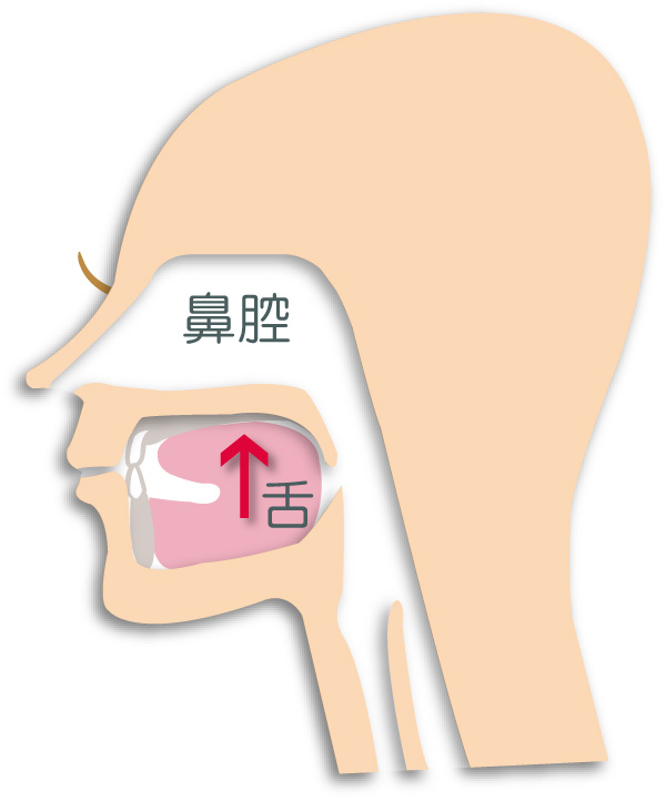 呼吸　舌の位置