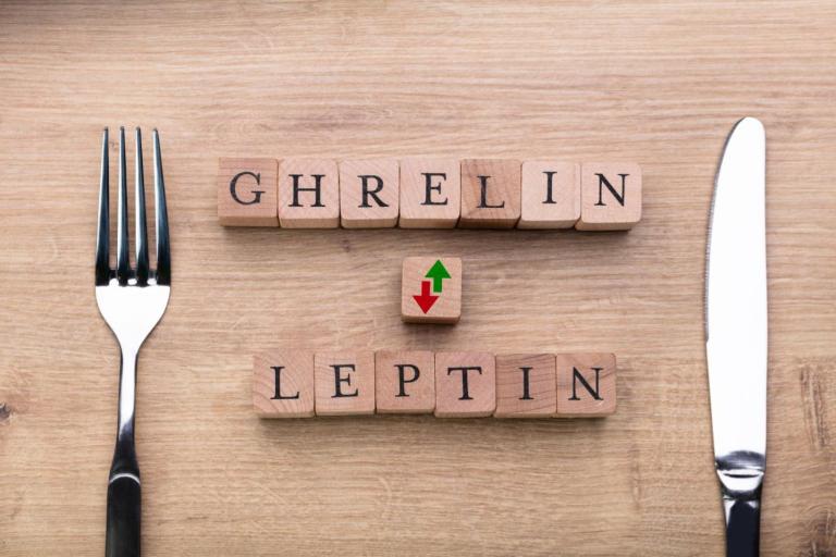 食欲を司るふたつのホルモン「レプチン」「グレリン」をうまくコントロールして太りにくい体に！