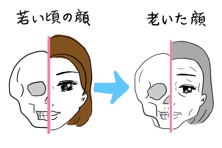 顔のたるみの隠れた重大原因「顔面の骨やせ」とは？　