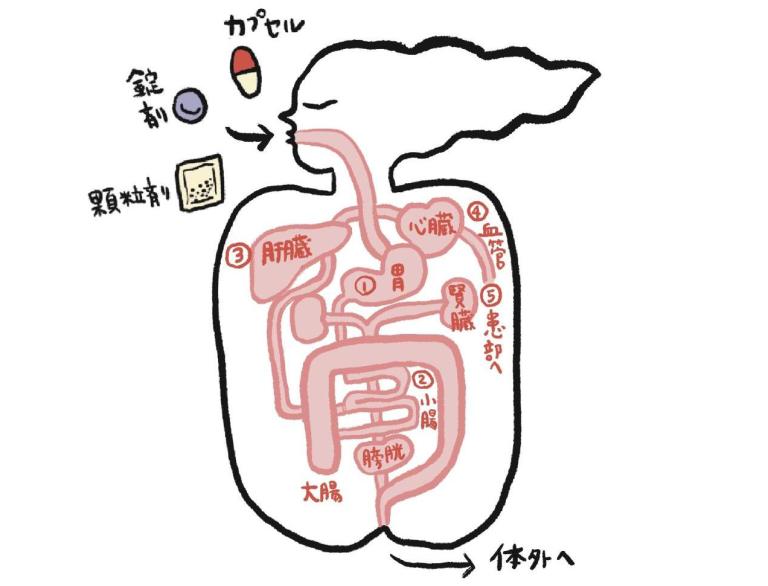 花粉症は市販薬と処方薬どっちが得？（薬の豆知識）　