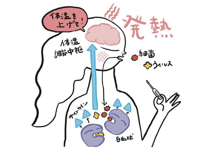 その薬は本当に必要？ 効く風邪薬は存在しない!?