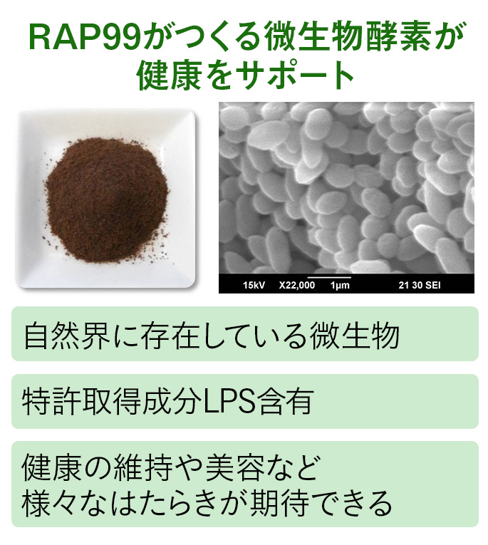 光合成細菌RAP99は自然界に存在する微生物に含まれる物質。このオリジナルの有効成分を238mgにギュッと凝縮。