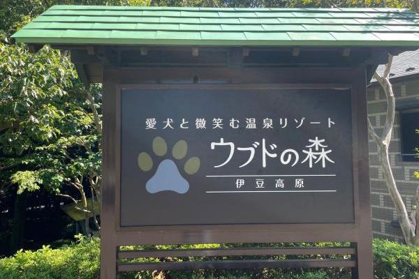 「わん連れ旅行」vol.6 バリ島「ウブド」をイメージした「ウブドの森」へ。室内・屋外ドッグランに大喜び