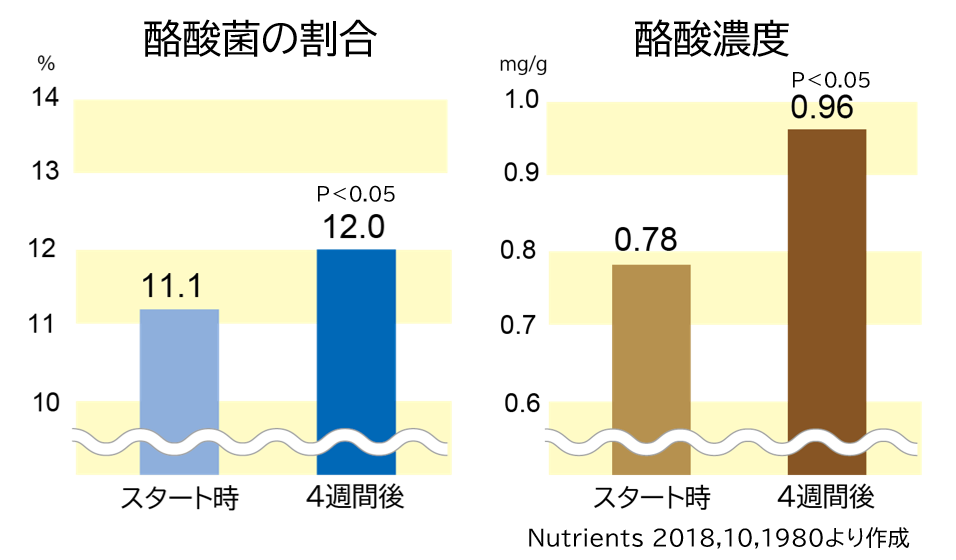 酪酸菌、酪酸濃度増加グラフ