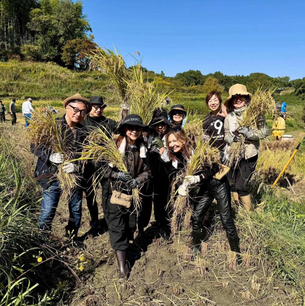 サロンメンバーで奈良の明日香棚田で稲刈り