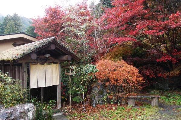 埼玉の秘境で見つけた お肌つるつる美人の湯