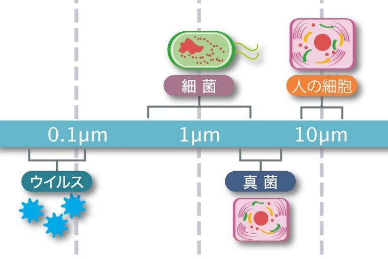 あなたは大丈夫？「お腹のカビ」に要注意！