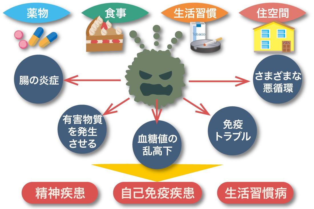 お腹のカビ　悪循環の図　イラスト