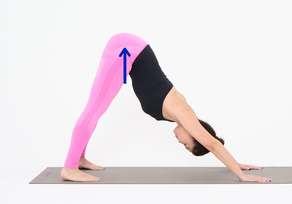 ダウンドッグ_02