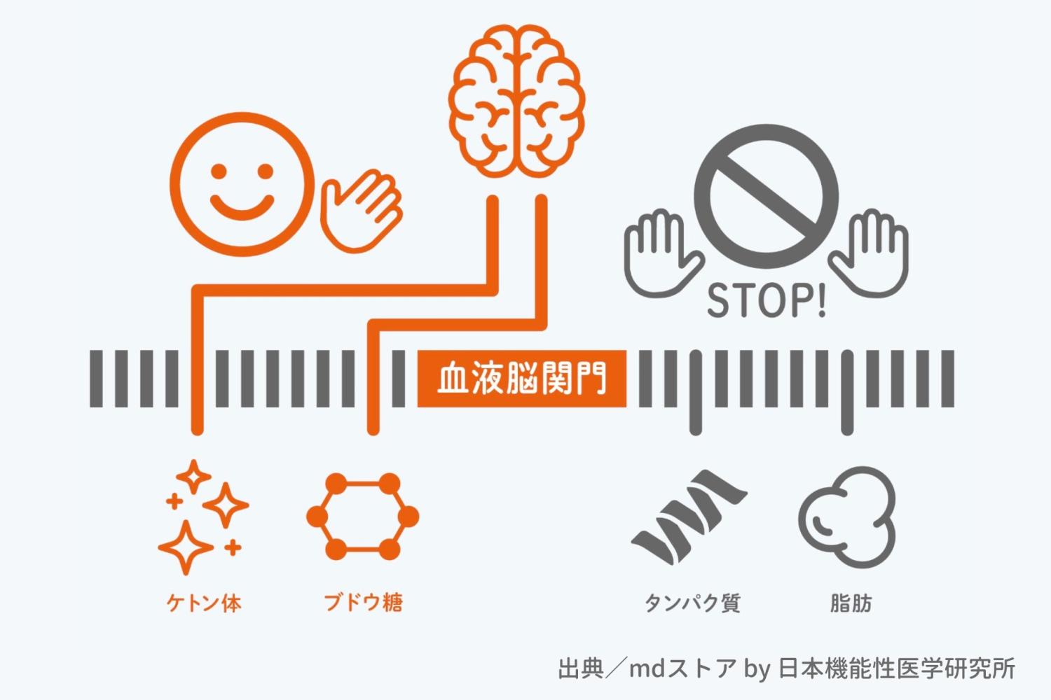 健康常識 脳のエネルギー ケトン体 ブドウ糖 脳の血液関門 ケトン体サプリ BHBサプリ