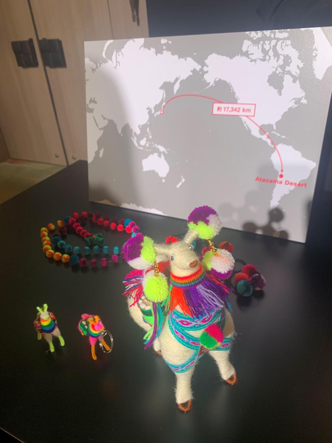 チリのおみやげ