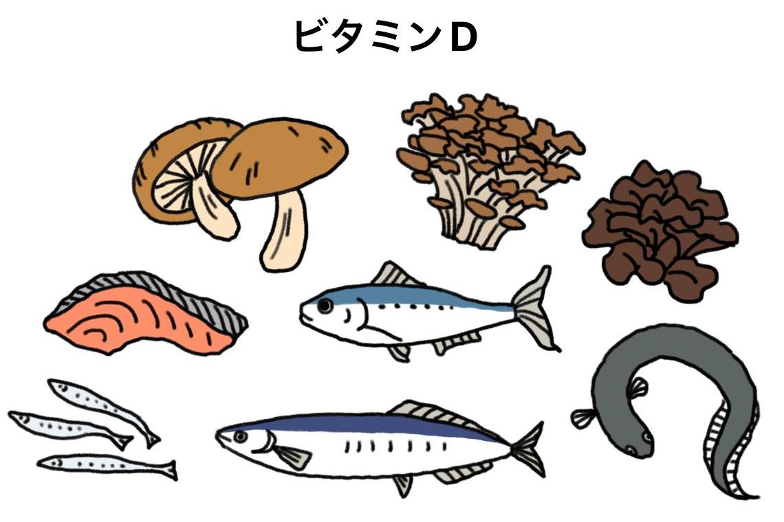 上咽頭ケア 栄養 青魚 鮭 きのこ イラスト