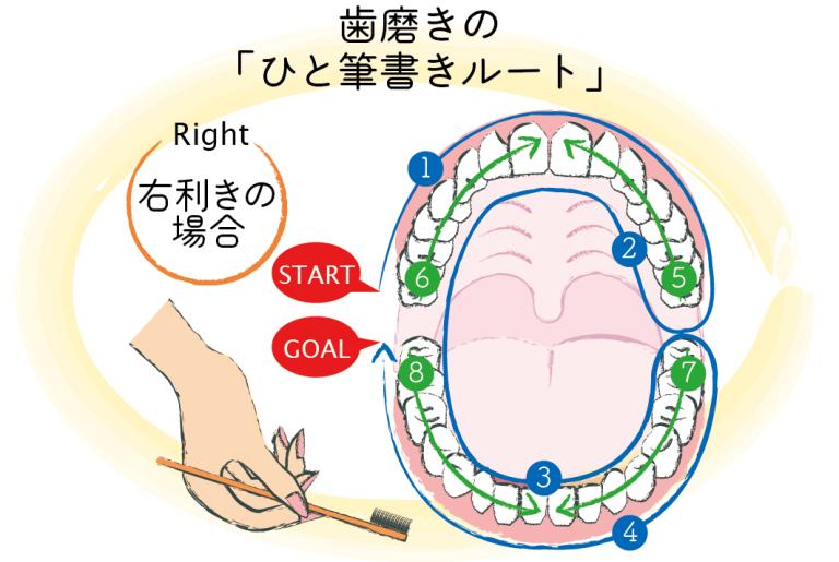 見直したい！ 歯科医師がすすめる歯磨きセルフケアのコツ