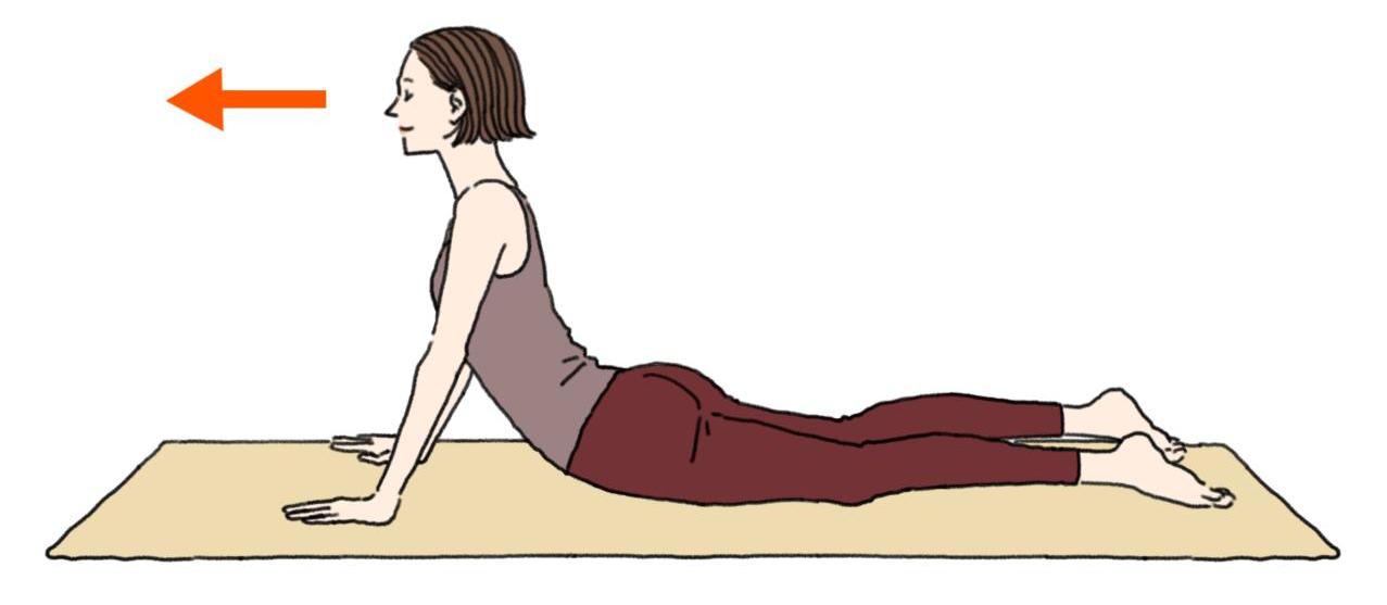 股関節ケア　後ろ脚が痛む　伸展困難　腰反らし